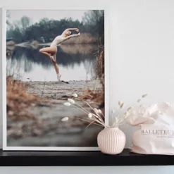Dansebutikken Balletplakat med balletdanser ved smuk sø