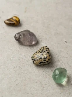 Dansebutikken Ritual fokus kit fra Yuman